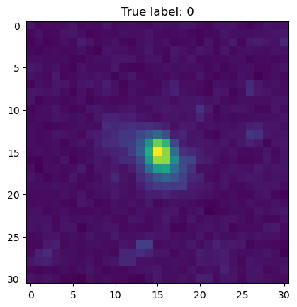 A small, compact galaxy labelled true label 0, meaning elliptical.